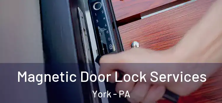 Magnetic Door Lock Services York - PA